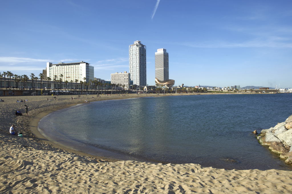 Estabilizacion_playas