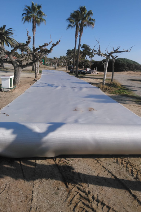CAMPING_PALMERAS